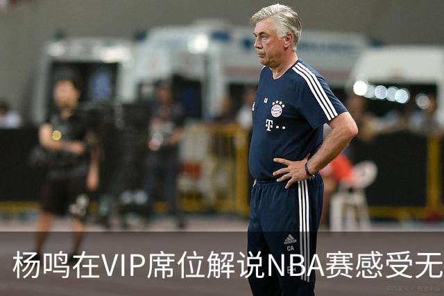 杨鸣在VIP席位解说NBA赛感受无与伦比的魅力